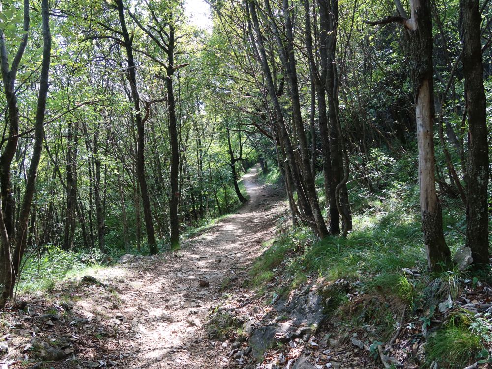 Bergpfad am Monte San Salvatore