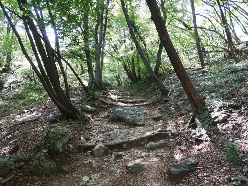 Bergpfad am Monte San Salvatore