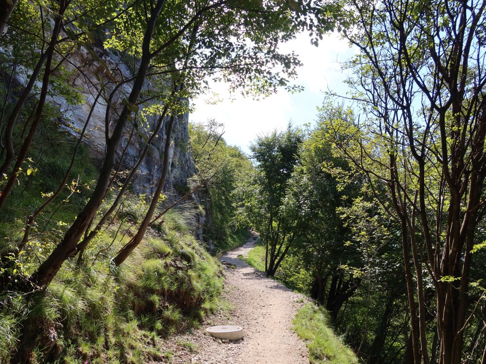 Bergpfad am Monte San Salvatore