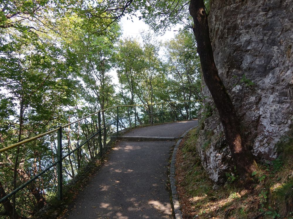 Bergpfad am Monte San Salvatore