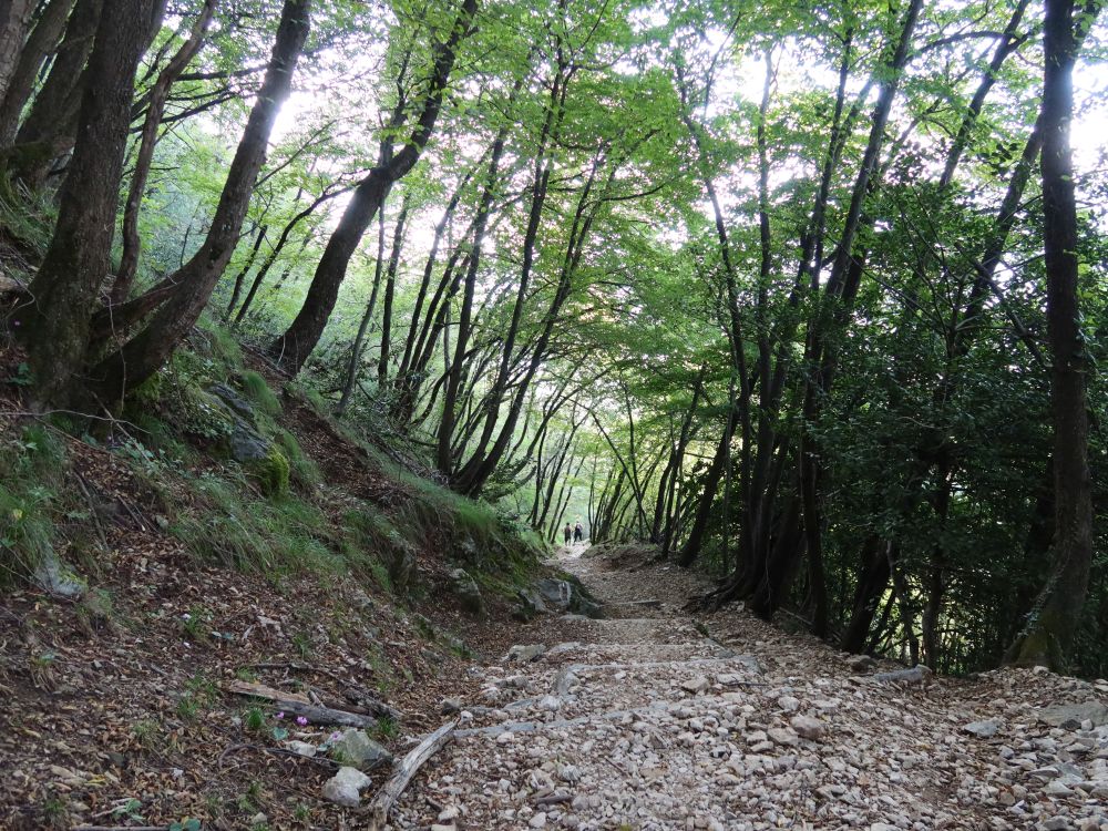 Bergweg am Monte San Salvatore