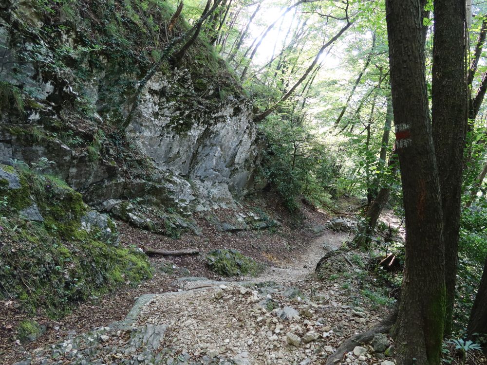 Bergweg am Monte San Salvatore