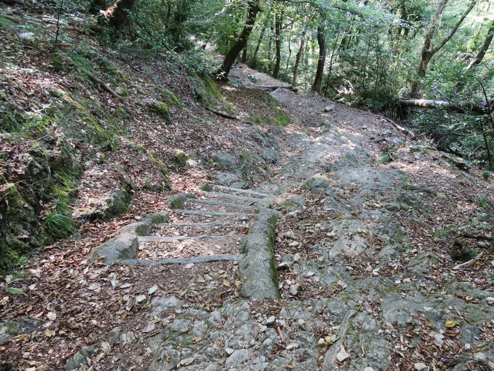 Bergweg am Monte San Salvatore