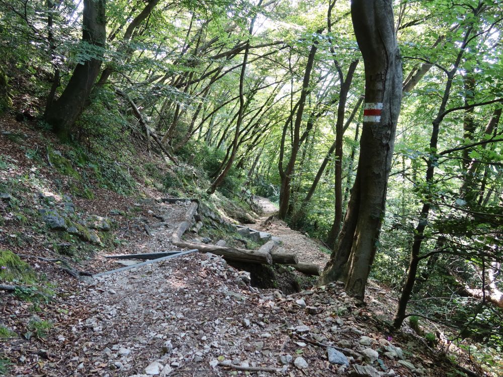 Bergweg am Monte San Salvatore