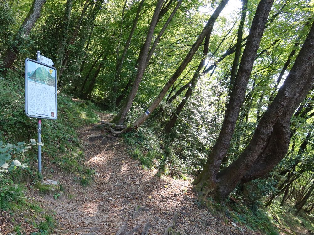 Abzweigung zum Klettersteig