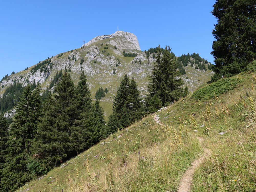 Stockhorn