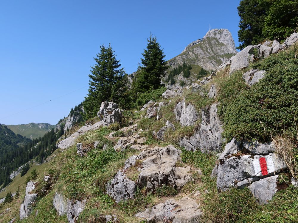 Bergpfad mit Stockhorn