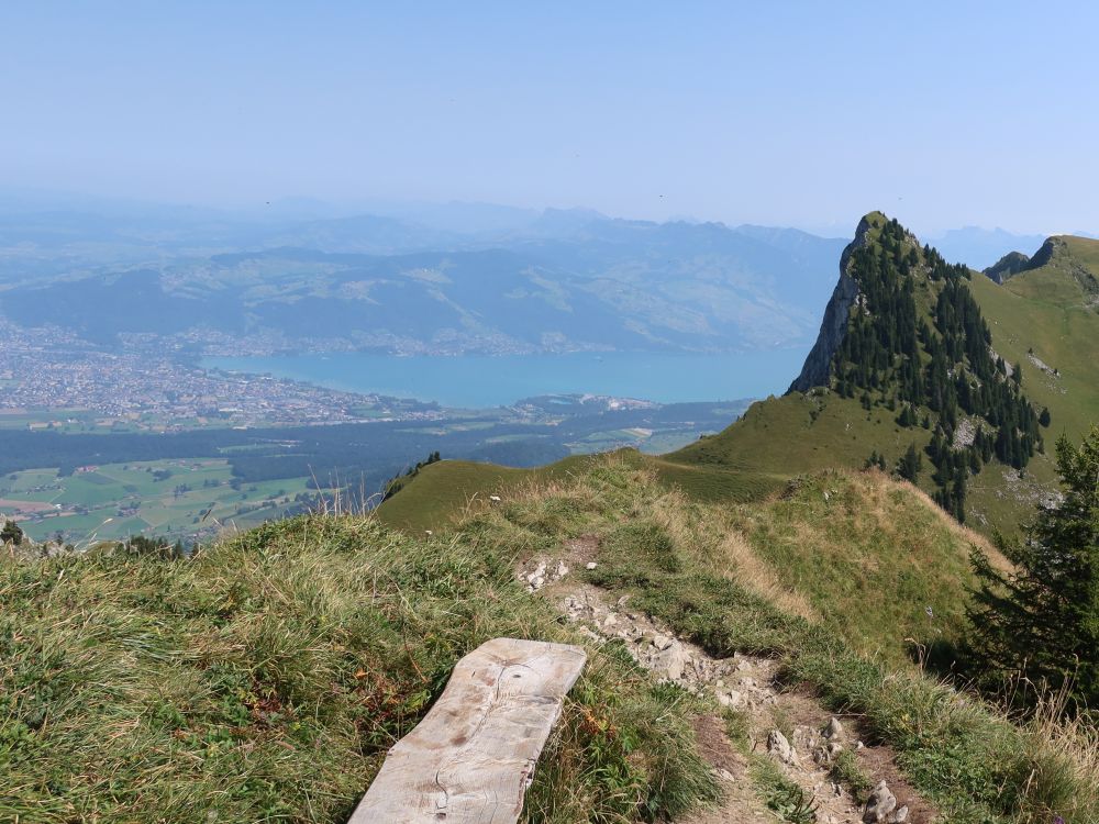 Blick Richtung Thunersee