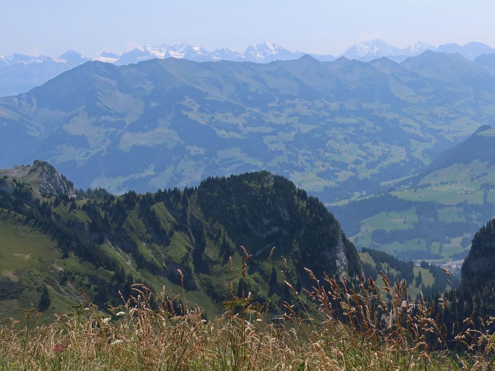 Blick ins Simmental