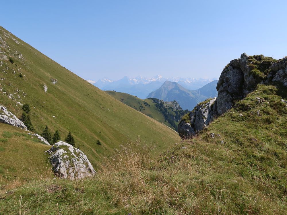 Stockefeld