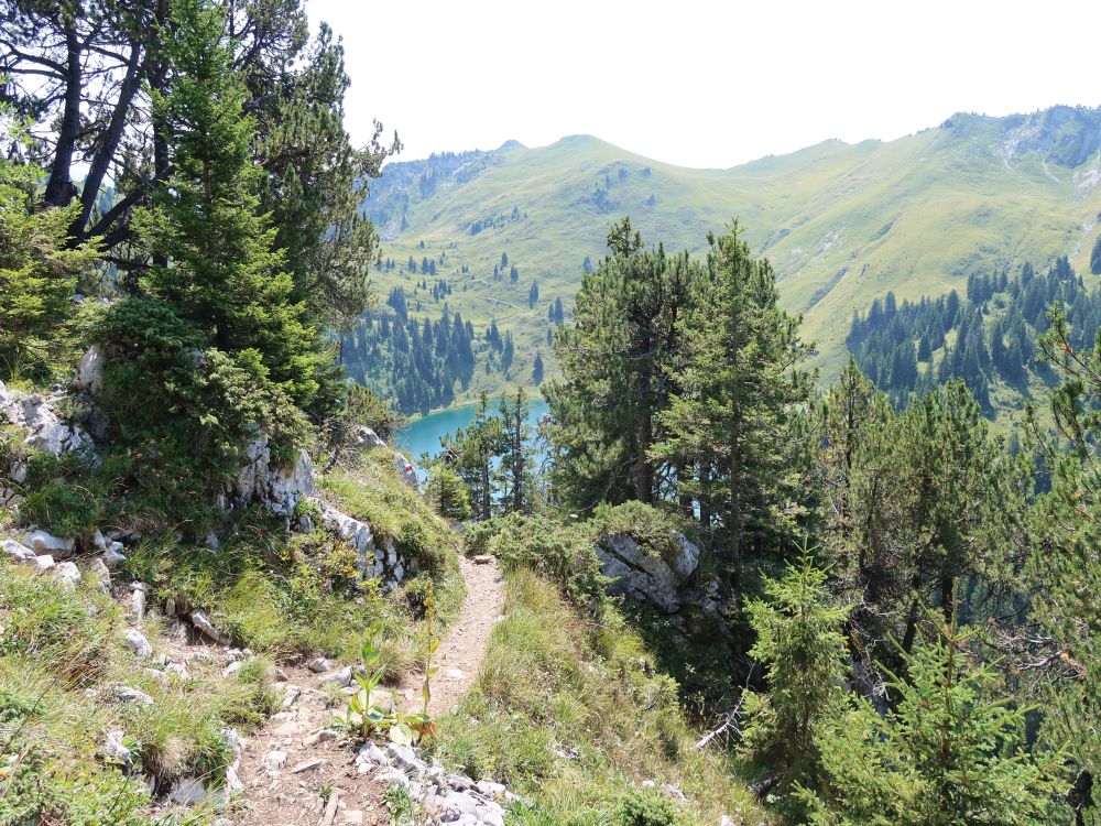 Pfad überm Oberstockensee