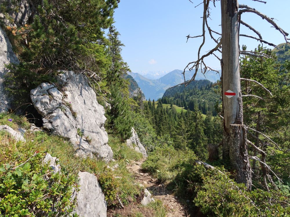 Pfad überm Oberstockensee