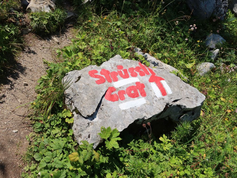 Wegweiser auf einem Stein