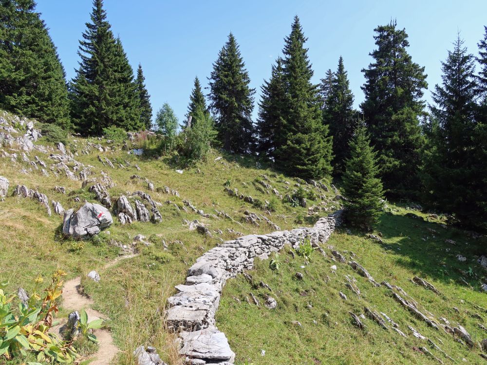 Steinmauer