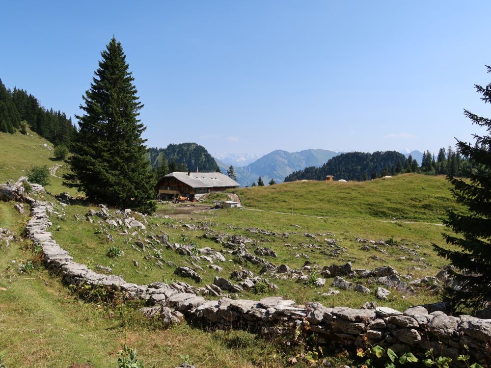 Steinmauer und Oberstockenalp