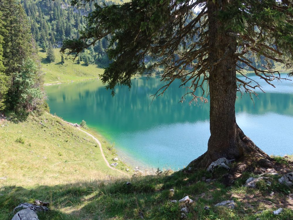 Oberstockensee