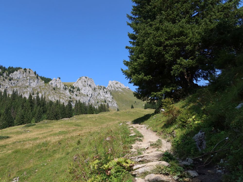 Pfad mit Blick zu Stockhorn