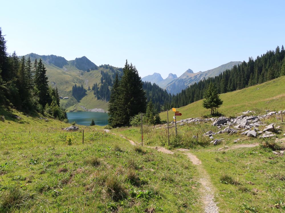 Sattelspitz überm Oberstockensee