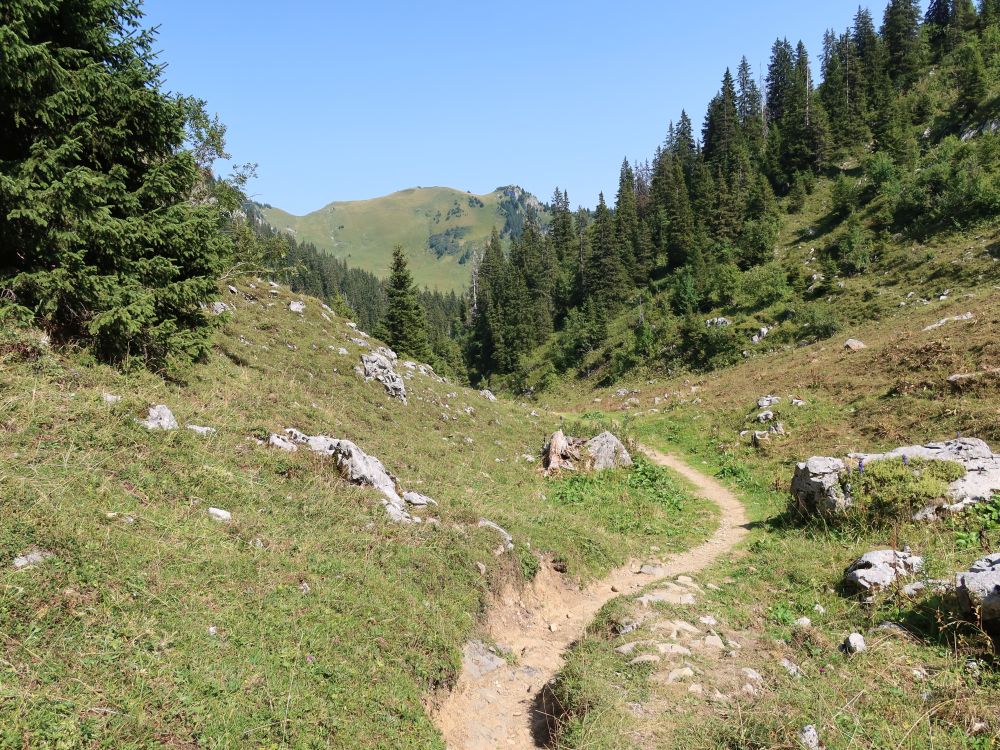 Bergpfad mit Lasenberg