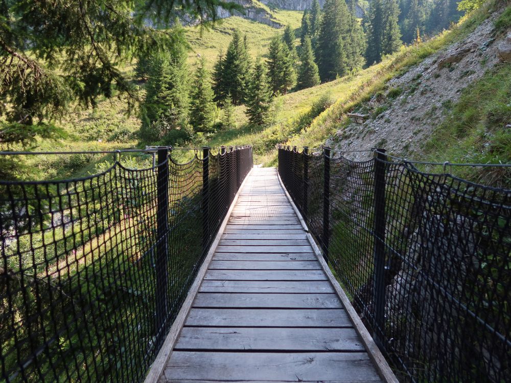 Holzsteg
