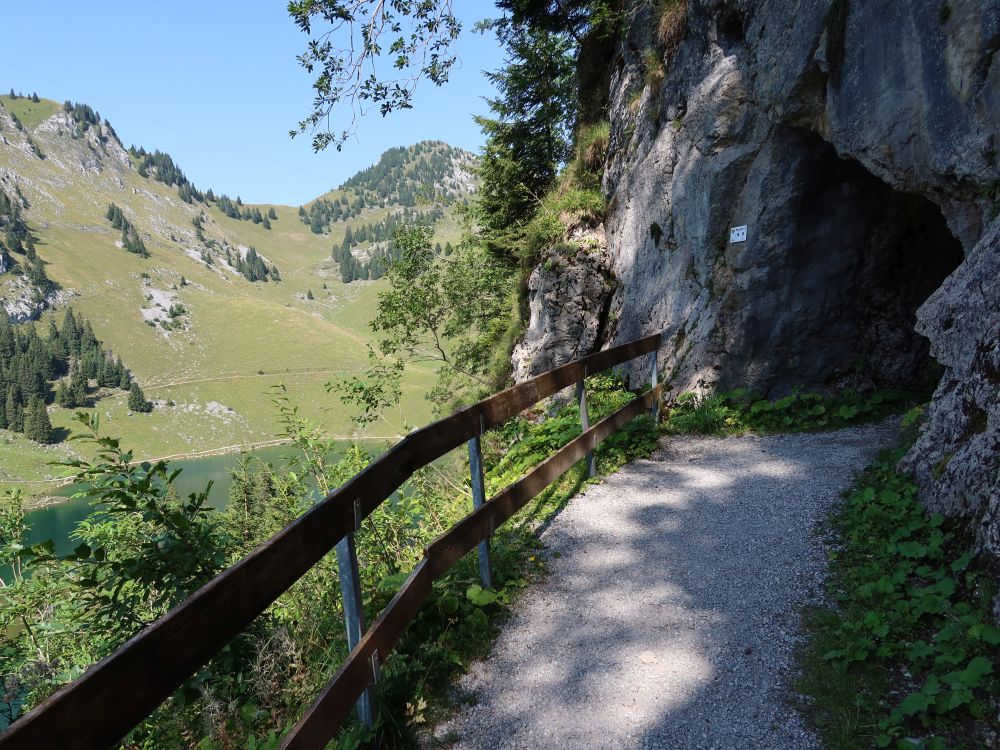Tunnel am See-Rundweg