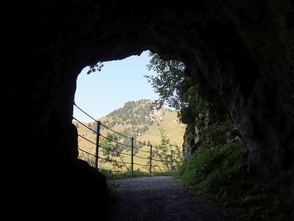Blick aus dem Tunnel