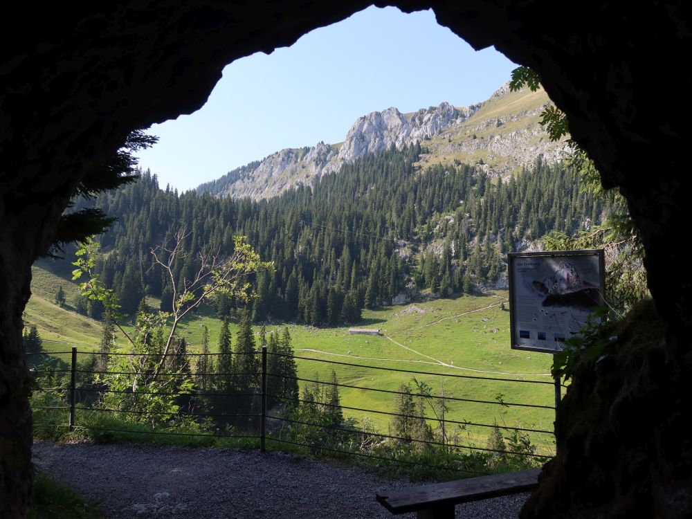 Blick aus dem Tunnel