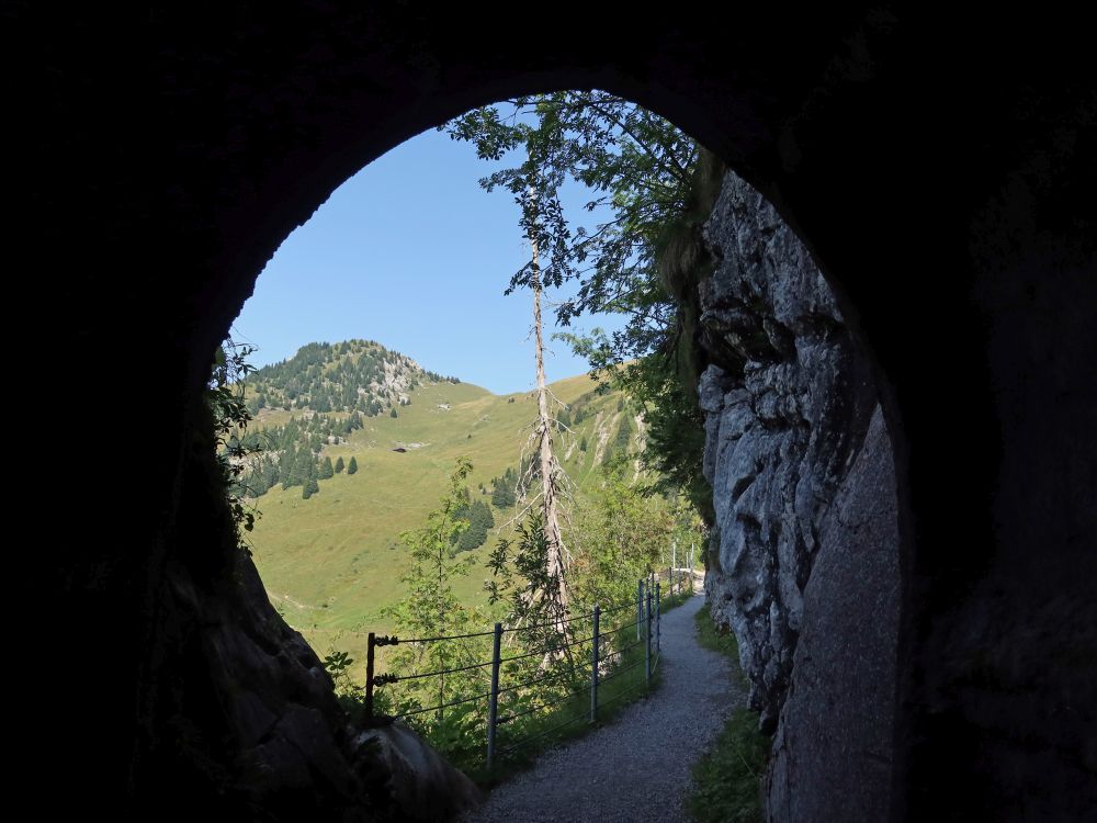 Blick aus dem Tunnel