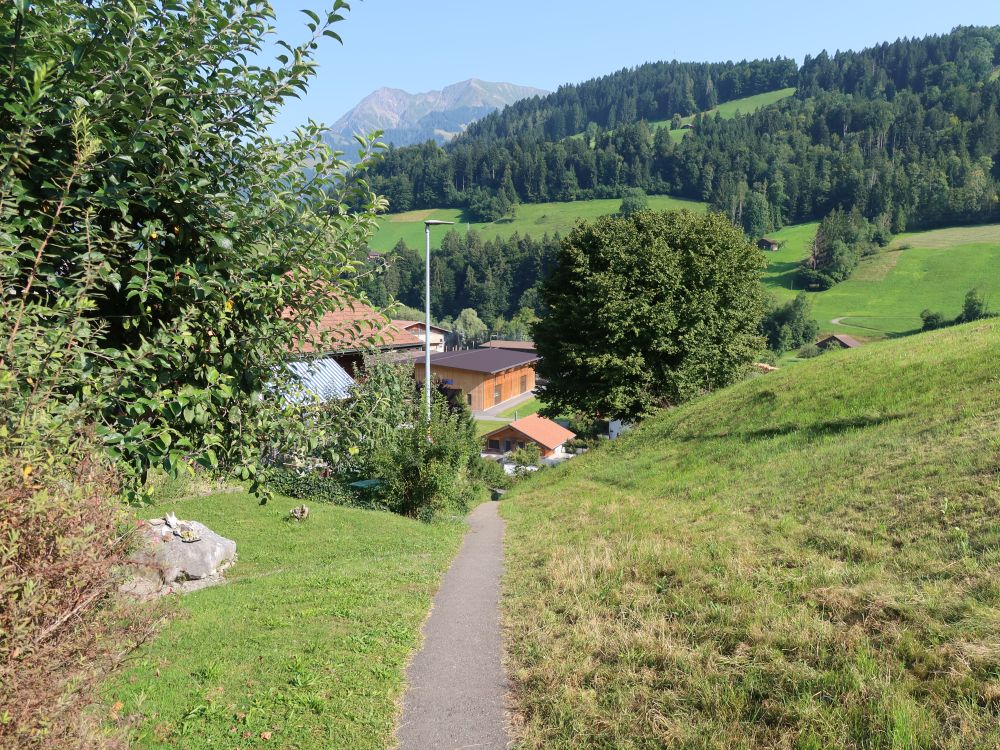 Pfad  bei Erlenbach