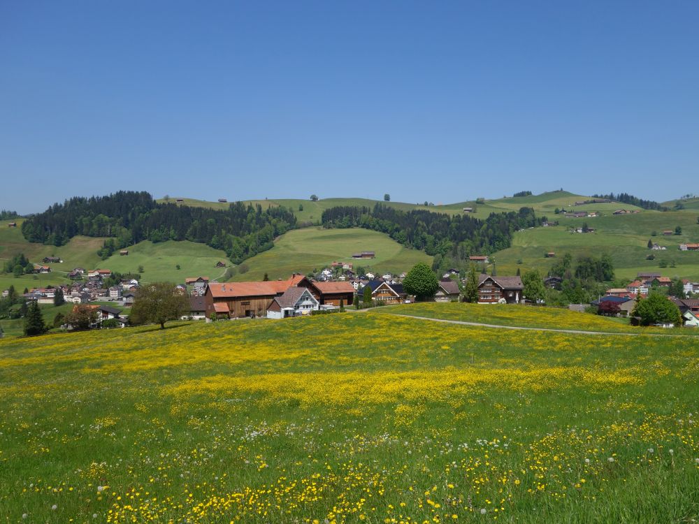 Ortsteil Tanne