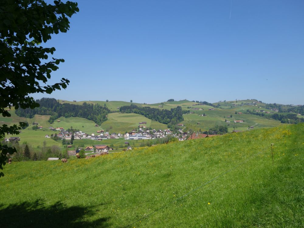 Blick Richtung Wald