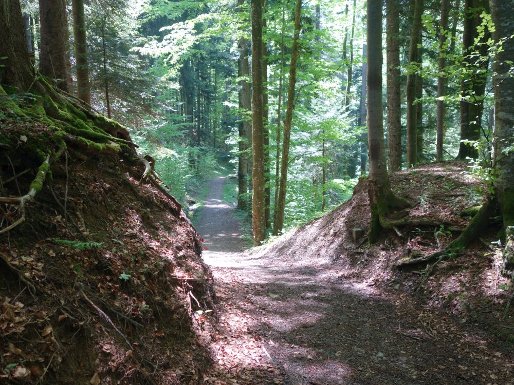 Hohlweg im Mülitobel