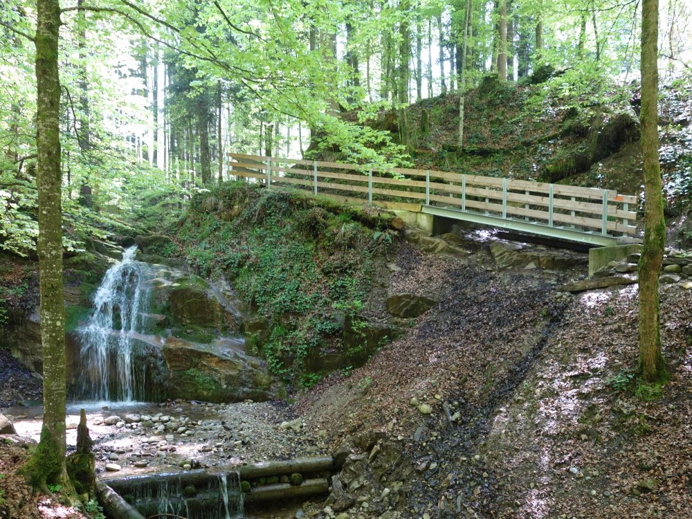 Wasserfall und Steg