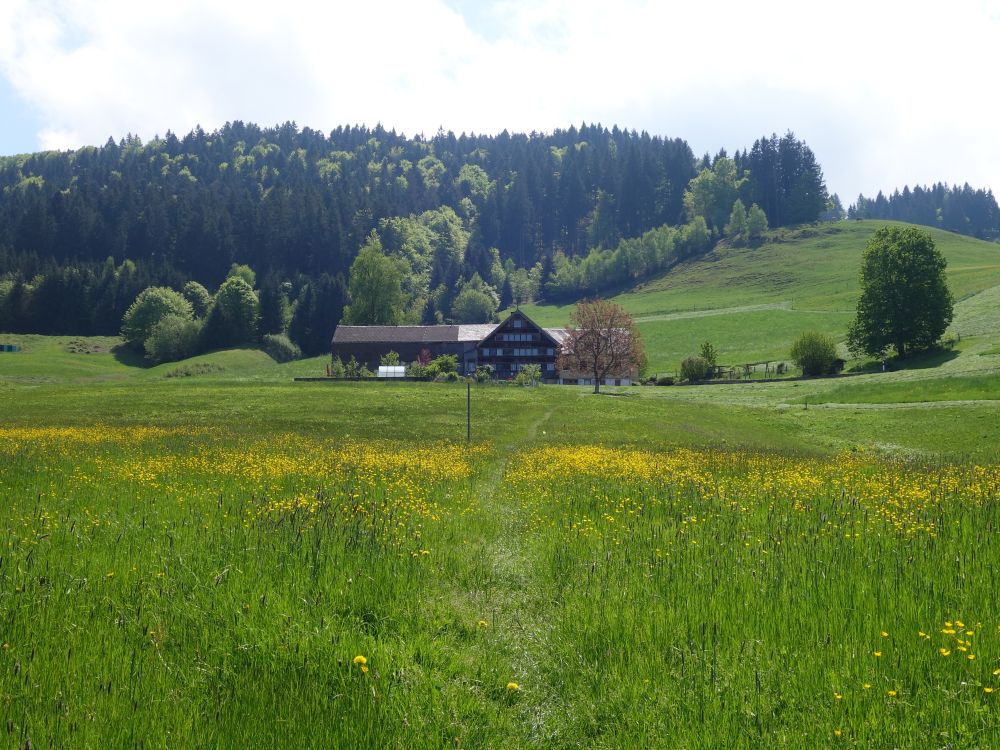 Wiesenpfad zu Bad Bruggli
