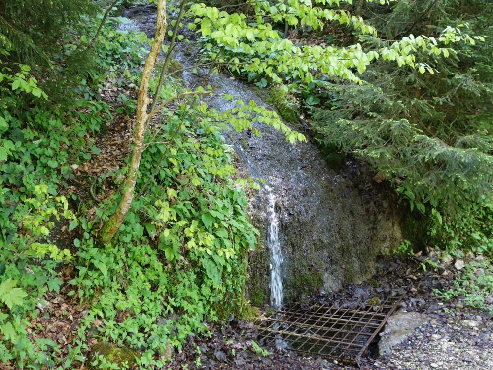 kleiner Wasserfall
