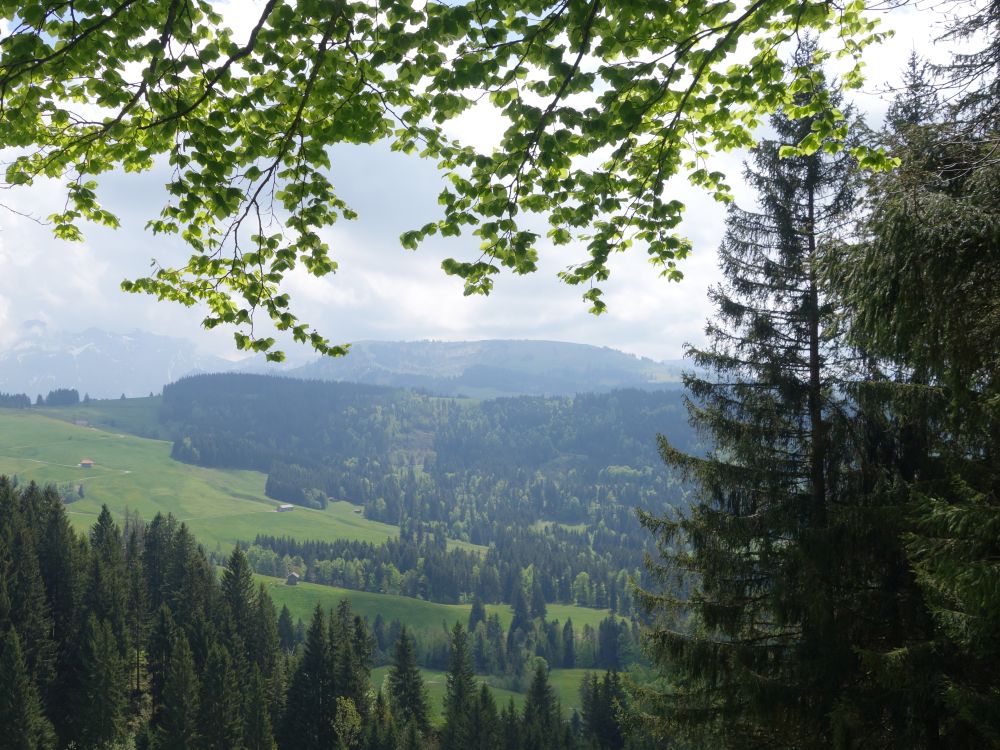 Blick Richtung Hochalp