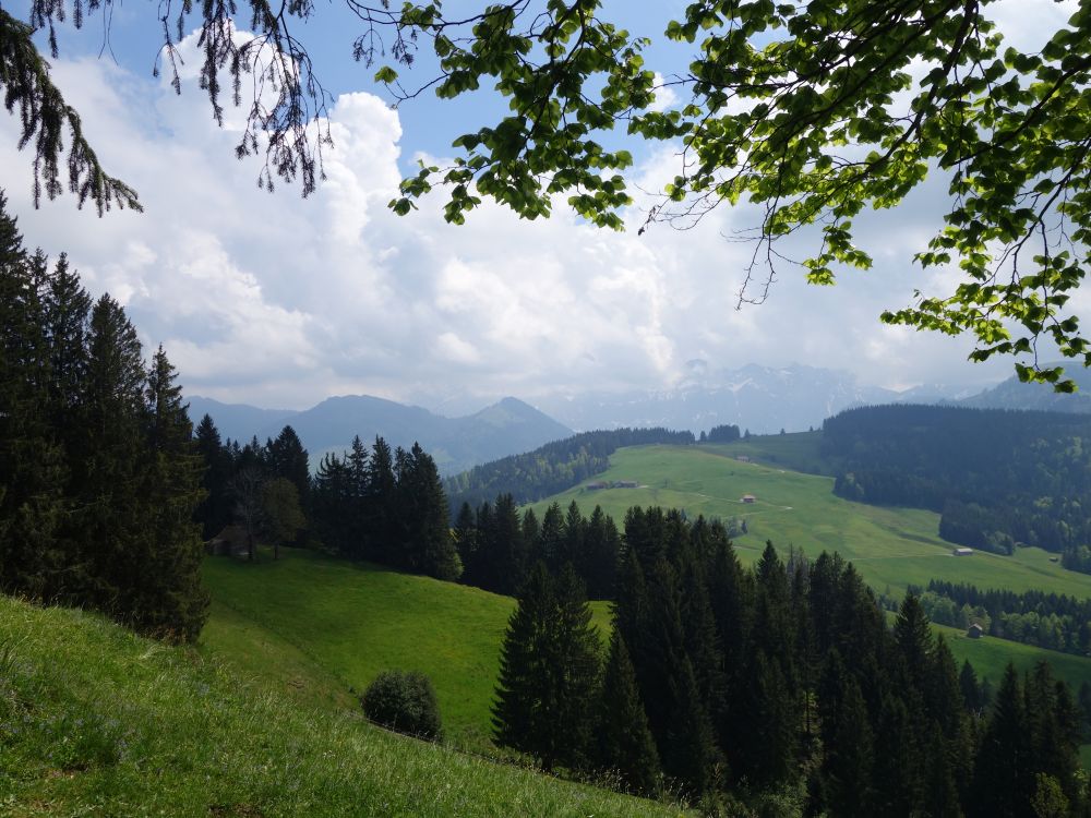 Hoch Petersalp und Spitzli
