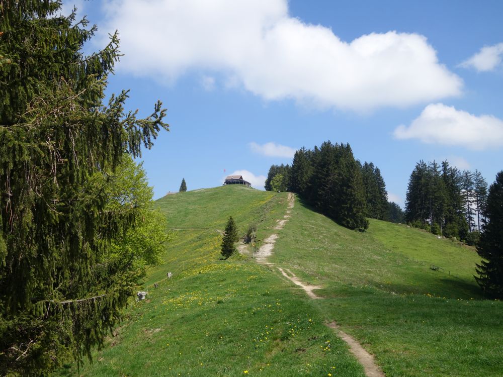 Berggasthaus Hochhamm