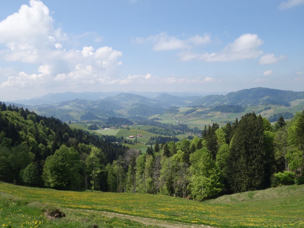 Blick Richtung NW (Wilkethöhi re.)