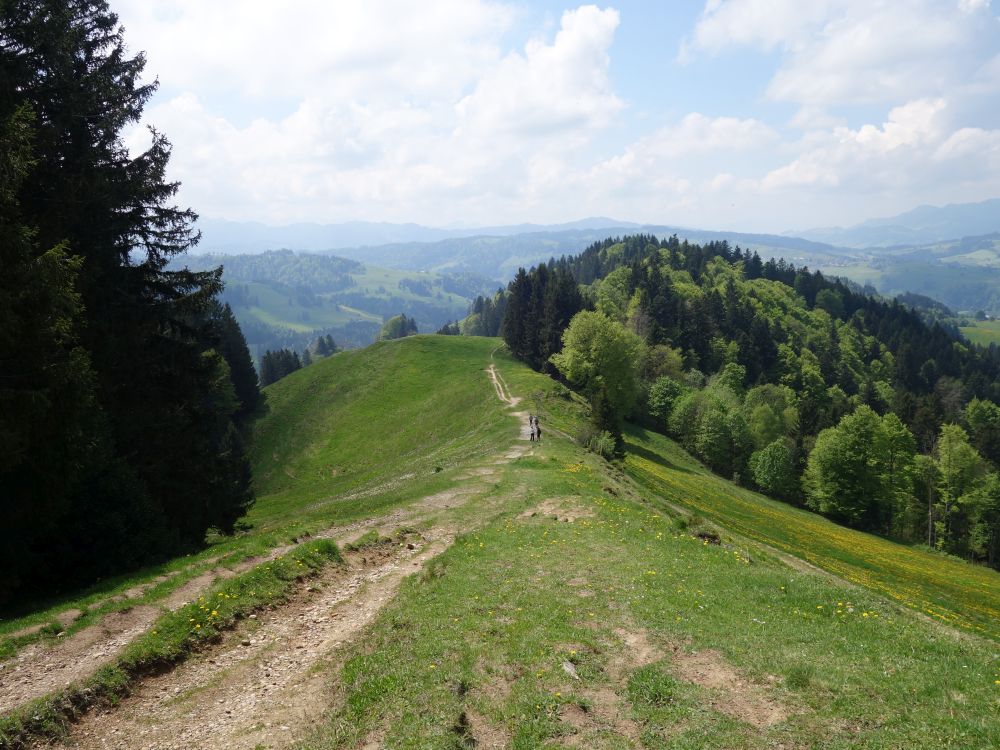 Gratweg zum Hochhamm