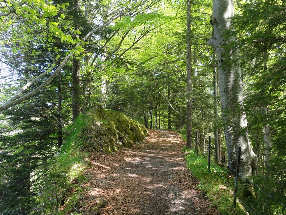 Gratweg zum Hochhamm