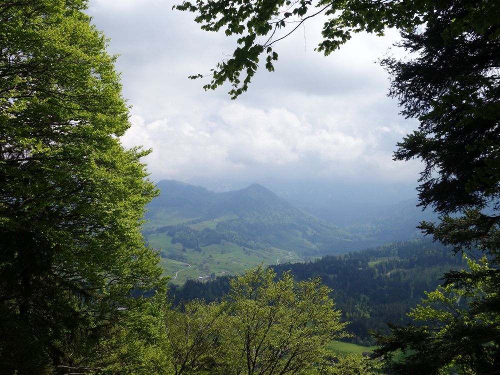 Blick zum Spitzli