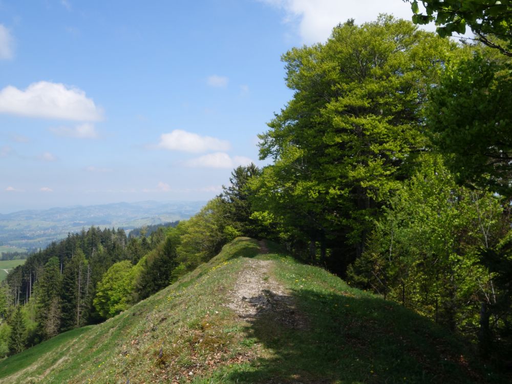 Gratweg am Hochhamm