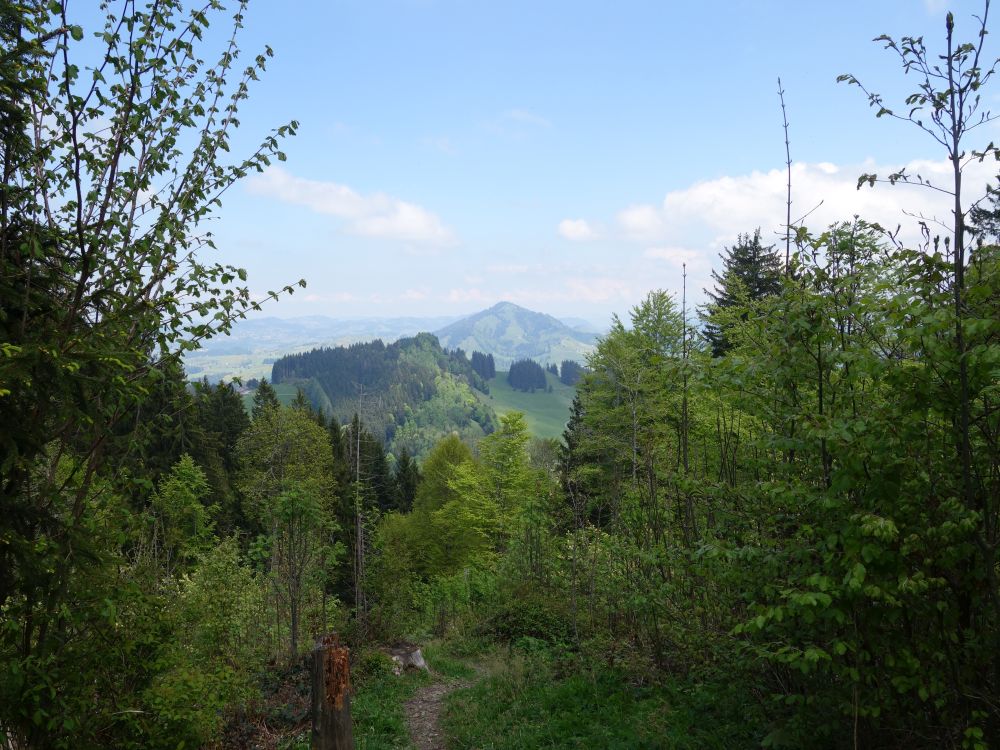 Blick Richtung Hundwiler Höhi
