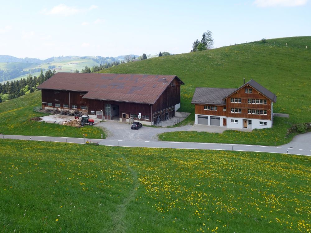 Bauernhof Tüfenberg