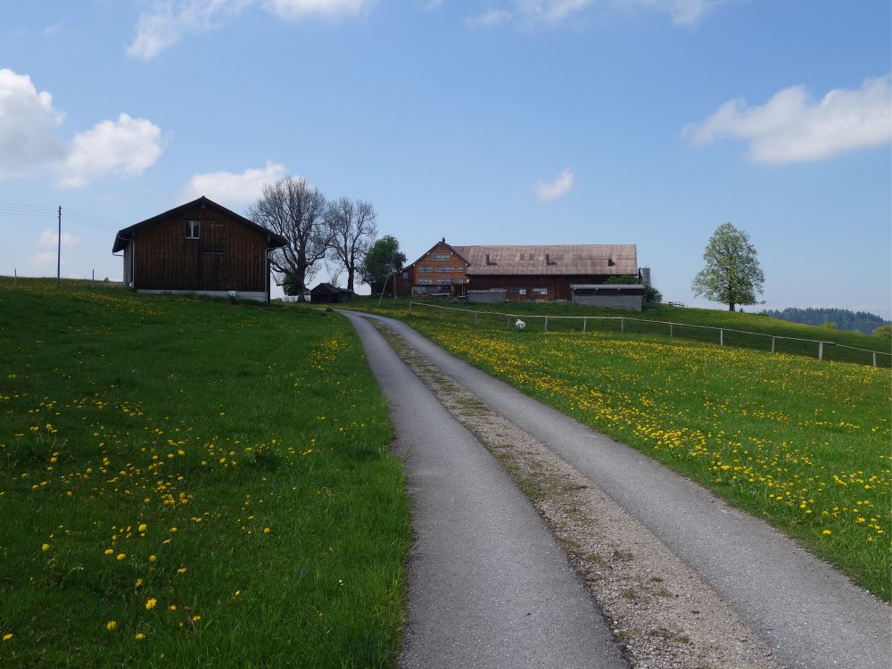 Bauernhof auf dem Tüfenberg