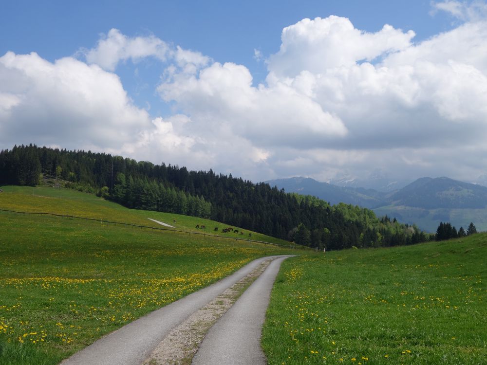 Wirtschaftsweg am Tüfenberg