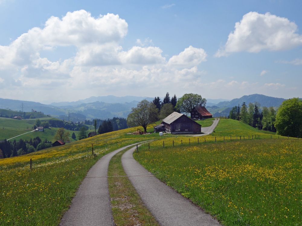 Fuchsstein