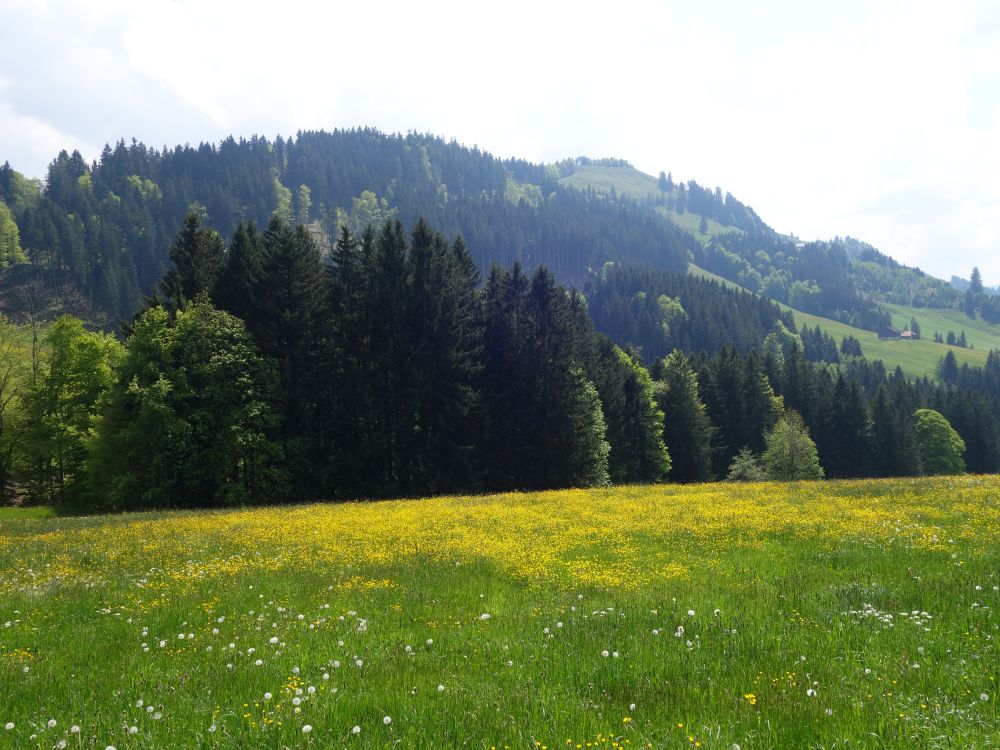 Blick Richtung Hochhamm
