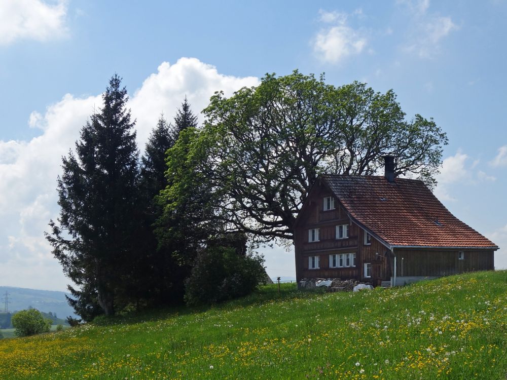 Haus bei Fuchsstein